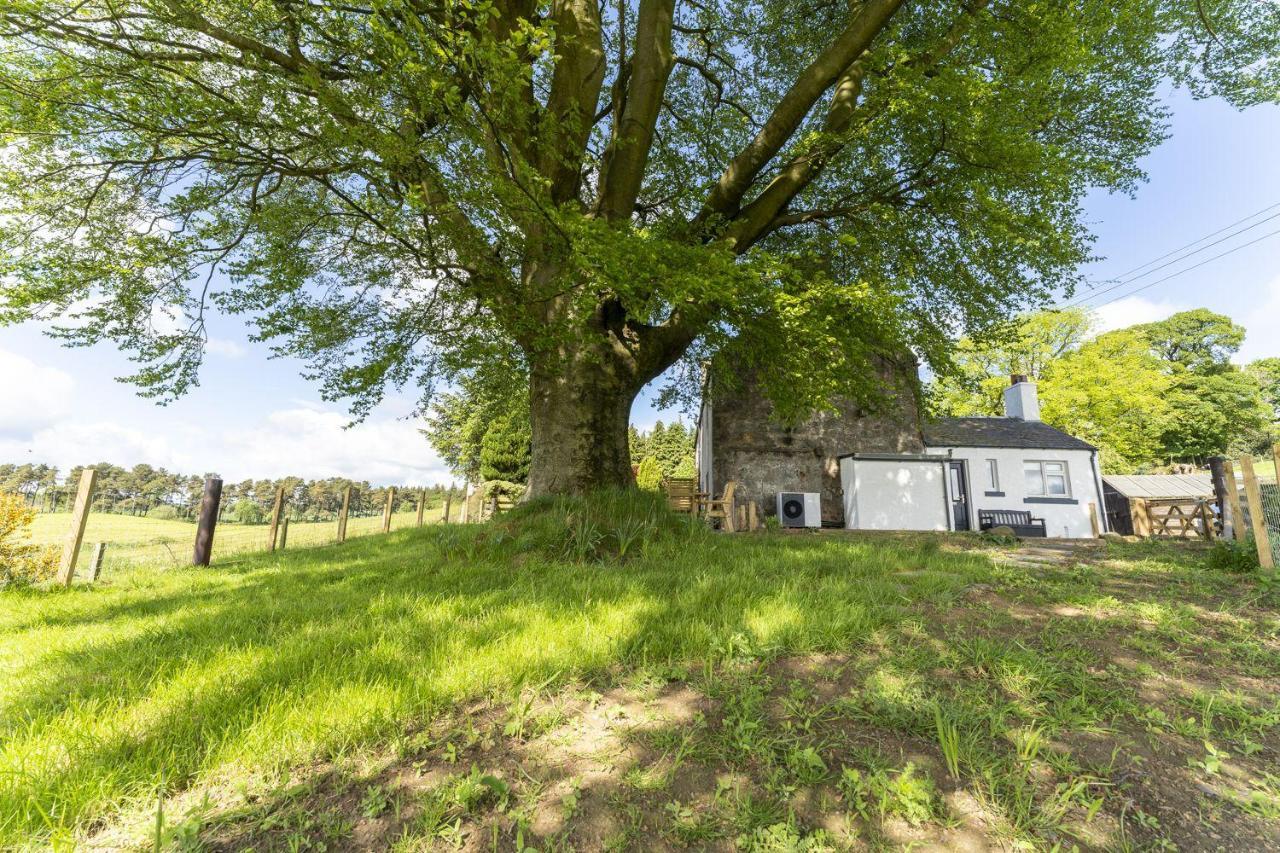 Wilsons Cottage Falkirk Exterior photo